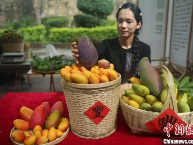 云南临沧 2025 年永德芒果节 28 日启重头戏，邀您共赴盛会