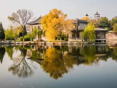 河北区秋色正浓：23座公园藏天津最美银杏，周末漫步运河畔赏秋攻略