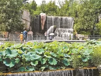 温榆河公园火出圈，打造四季有花全时景区成打卡新热点