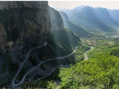 山西候鸟迁徙全攻略：太行一号公路沿线观黑鹳、天鹅最佳地点与时间