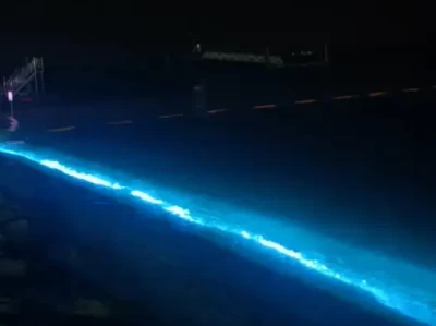 武汉梁子湖龙湾半岛景区现梦幻蓝眼泪，游客纷纷打卡