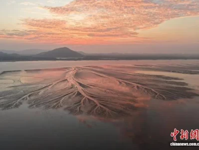 镜观钱塘江：大地之树吸引八方拍客，你看过吗？