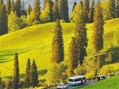 5月多地公路风景如画，交通+旅游打造网红公路成亮点
