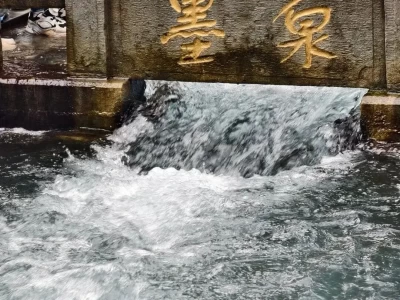 济南泉水迎60年最佳赏泉季！趵突泉变身‘趵突突突泉’，黑虎泉刷新历史水位