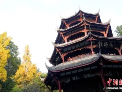 成都银杏观赏季开启：杜甫草堂金黄漫天，古装游客拍照留念