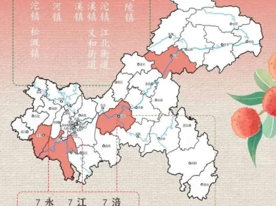 2025重庆荔枝打卡地图发布，这些产区你知道吗？