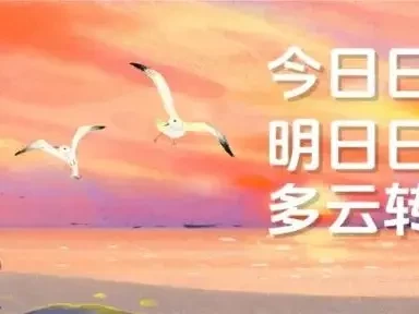 烟台冬日海鸥观赏攻略：8个绝佳地点+拍摄技巧+最佳时间，带你拍出刷爆朋友圈的大片