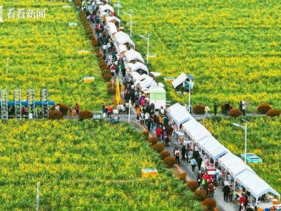 2026上海乡村春游季启幕，55条线路+50项活动等你来玩