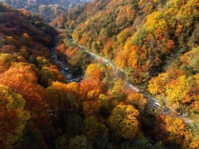 秋意渐浓光雾山将迎最美季，大学生旅游推广活动精彩举行
