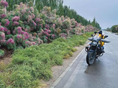 8月20日叶城到喀什骑行记：花费、里程与沿途见闻