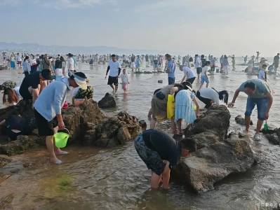 台山赶海好去处推荐！海宴镇湿地、赤坎码头等不容错过