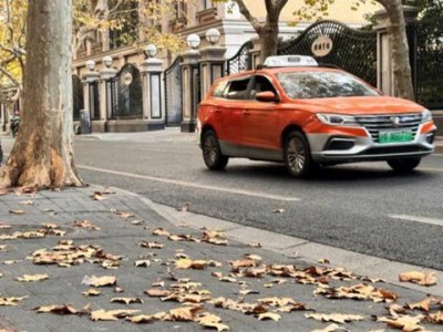 上海新增6条落叶不扫景观路，带你打卡银杏、乌桕秋色