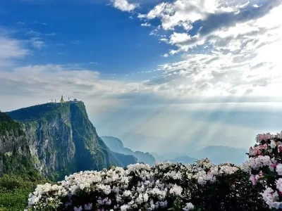 乐水乐山绿韵嘉州：林文旅融合绘就生态长卷，康养集群崛起