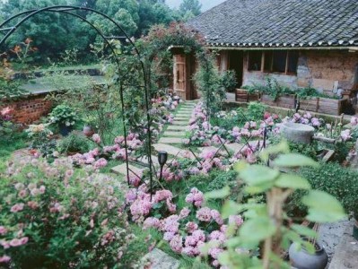 西部科学城打造六条主题旅游线路：艺术与自然融合，重新定义旅居体验