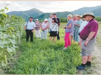 俄罗斯专家调研鸭江谷酒庄山葡萄产业，通化山中多奇珍