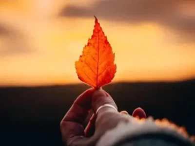 路易号不上岸，驻沪办不办公？足不出沪，开启别样环球之旅