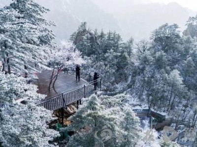 河南多地景区新春放大招，免票优惠等你来，出游省钱看这篇