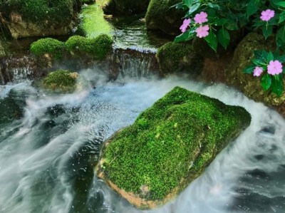 西双版纳4天3晚精品小团攻略来啦！人均1500元带你玩转