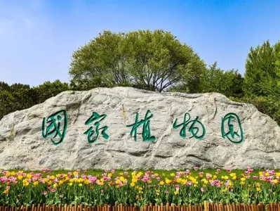 国家植物园四周年：一站式赏花，看遍京华春色