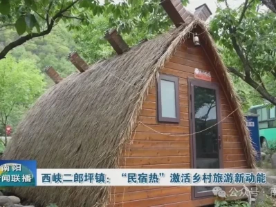 西峡县二郎坪镇：依托自然资源，融合赏花与乡村旅游促振兴
