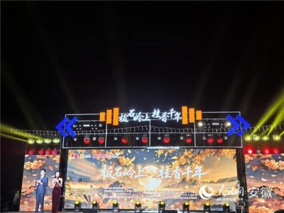 秋风起桂花香！南陵县第十届千年丹桂艺术市集开市啦