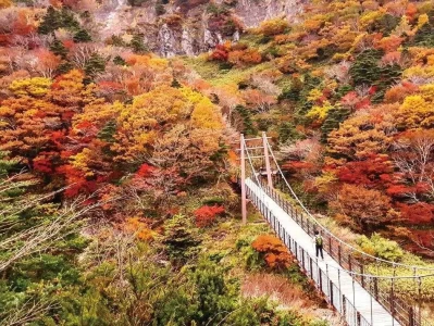 韩国旅游发展局8月25日启动推广，2025年中国团队游客将享免签政策？