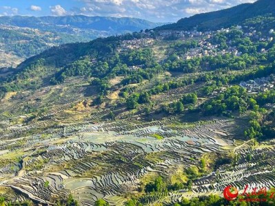 群山之间哈尼族与梯田紧密相连，非遗农耕成梯田旅游新亮点