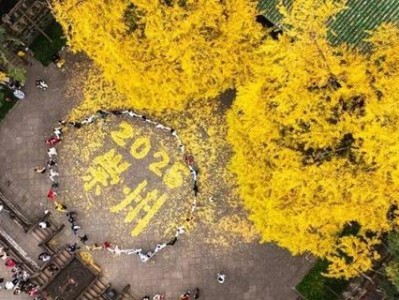 罨画池游客涨35%不只靠银杏 汉服剧本杀转型沉浸式文化空间