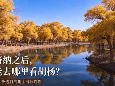 额济纳胡杨林去晚了？错峰小众路线，人少景美比打卡更值