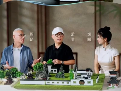 咫尺山林探秘：香山帮非遗智慧，一木一石如何成就传世园林？