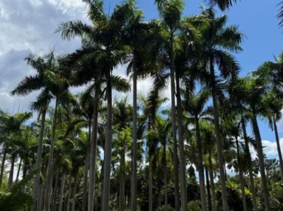 西双版纳4日游攻略来啦！人均1380元带你玩遍