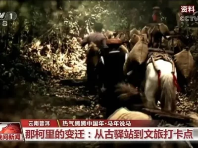 云南普洱那柯里：从茶马古道重镇到文旅打卡点的变迁