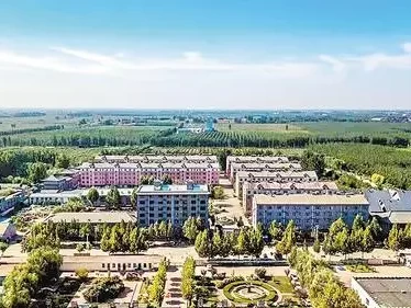 沧州东光谢家坝运河东堤岸：保留原始形态，诉说百年沧桑