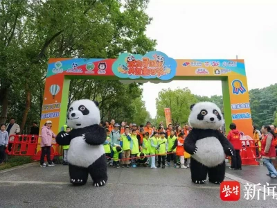 深秋重阳登山好时节！第三届登山节融合亲子情与传统习俗