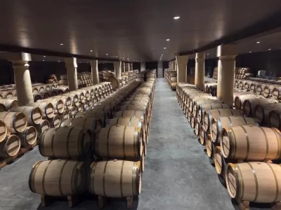 飞猪×波尔多强强联手！打造中国游客专属酒庄游，品味舌尖上的法兰西