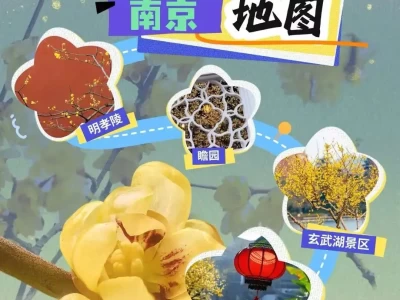 岁暮天寒赏蜡梅！江苏这份蜡梅地图，带你邂逅冬日暗香