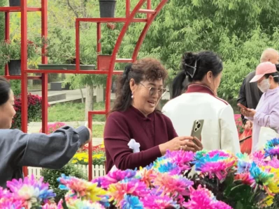 金秋包头东河区！2025 十一假期文化旅游商业融合盛宴启幕