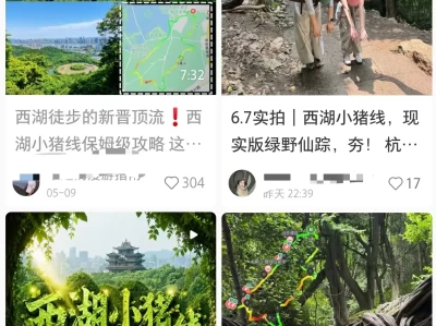 杭州西湖小猪徒步路线走红，低门槛高颜值适合所有人
