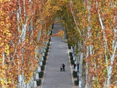 郑州森林公园与邙山秋景特色全解析，含交通指南及门票信息