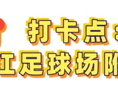 闯入张江金色芦苇荡：秋日电影感拍摄指南，邂逅川杨河畔的温柔留白