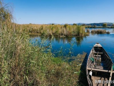 昆明南滇池湿地公园：本地人私藏的湖岸秘境，游客必去