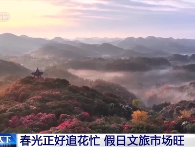 清明赏花正当时，小城民宿预订火爆