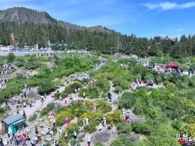 持续高温下，阜康天山天池成避暑热门好去处？游客这样说