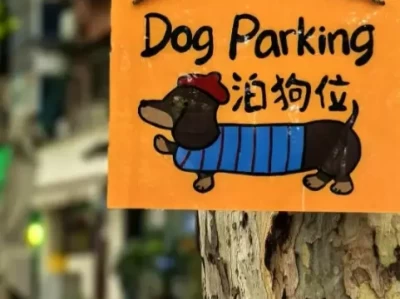 这个暑期窝囊旅游火了！来洛阳感受松弛旅游的奥义