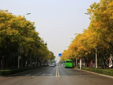 霜降后太行泉城秋色如画，这份秋叶观赏指南请查收