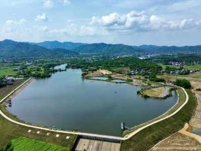 庐江柯坦镇春日美景 田园乡村如画
