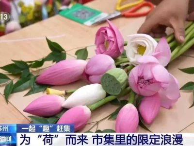 暑期来苏州爆火荷花市集，邂逅江南夏日限定风物图