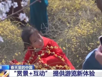 天津桃花堤赏花正当时！赏景互动全攻略及免费公交专线来啦