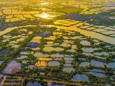 浙江4个村入选世界最佳旅游乡村！荻港村究竟藏着啥魅力？