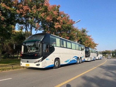 石家庄至大同二日游直通车开通：云冈石窟、悬空寺、古城，冬季文化之旅